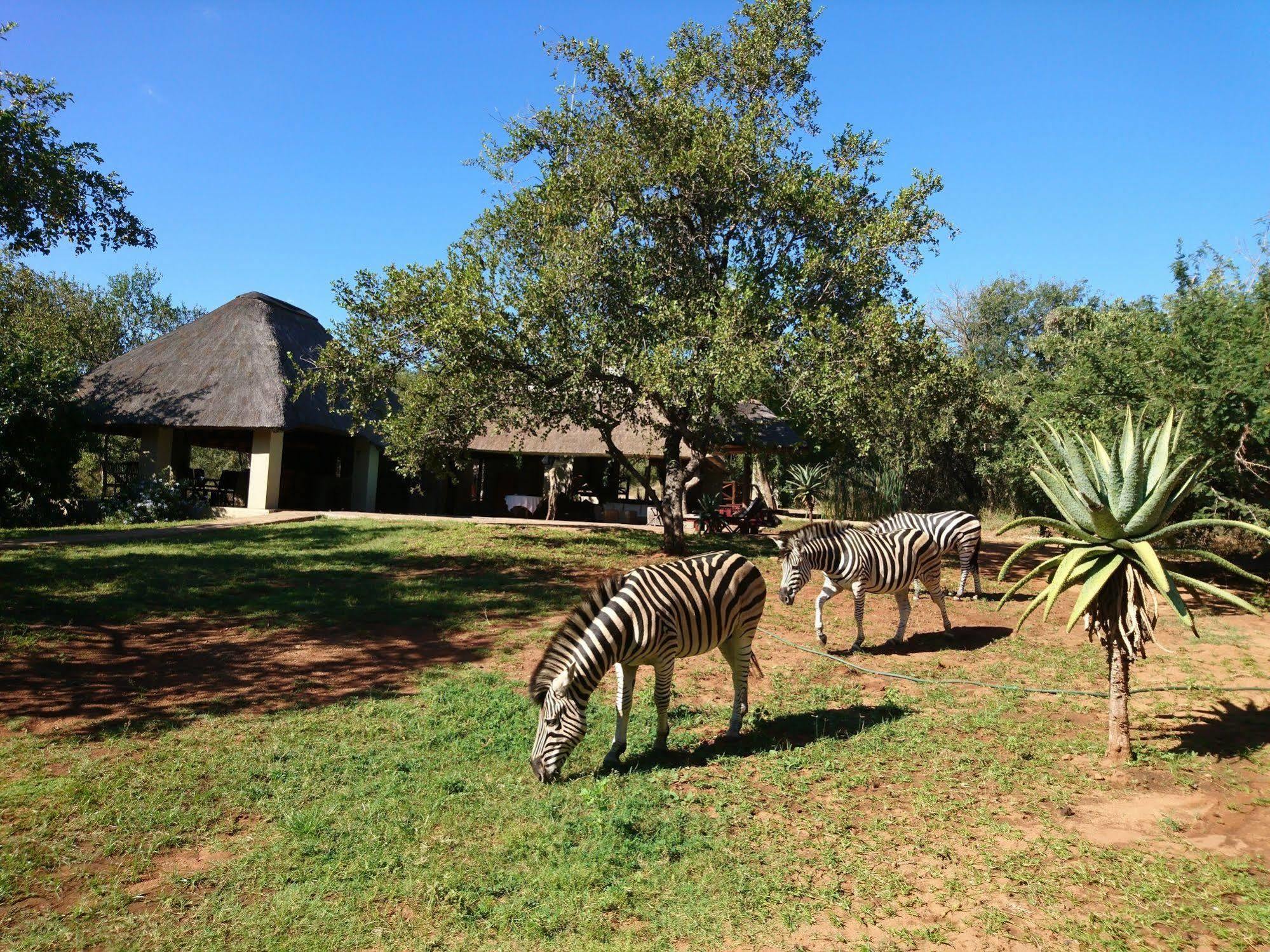 Royal Kruger Lodge Marloth Park Εξωτερικό φωτογραφία